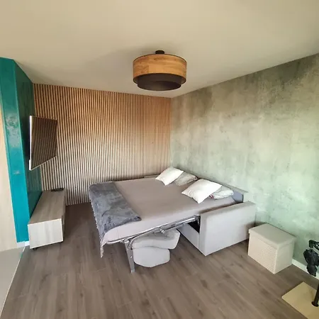 Elegant Avec Acces A La Piscine דירה ניס