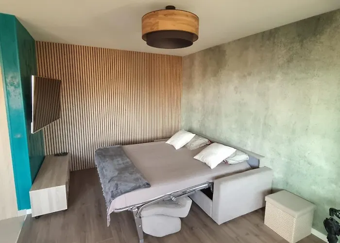 Elegant Avec Acces A La Piscine Apartman Nizza